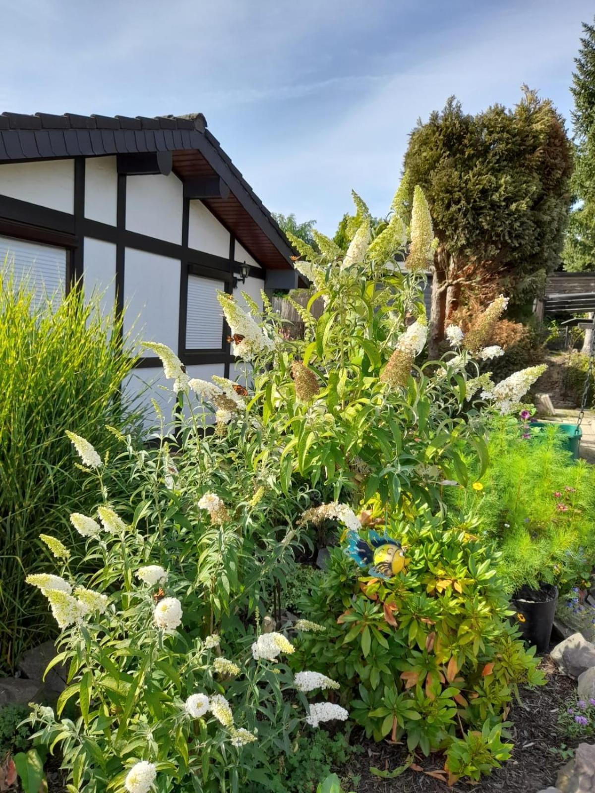 Haus Am Listersee Meinerzhagen Extérieur photo